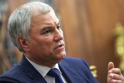 Володин призвал запретить усыновлять российских детей для ряда государств Володин призвал запретить усыновлять российских детей для ряда государств