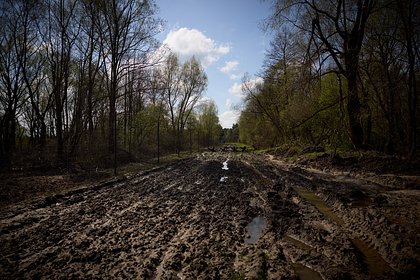 На Украине вдвое увеличилось число попыток нелегально бежать из страны На Украине вдвое увеличилось число попыток нелегально бежать из страны