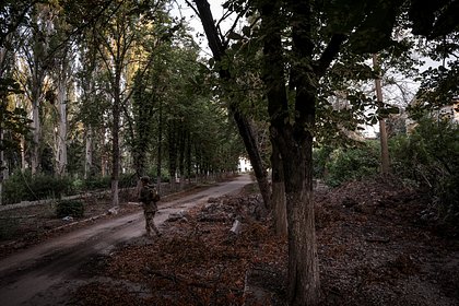 Раненый прапорщик ВС России спас сослуживцев из-под минометного обстрела Раненый прапорщик ВС России спас сослуживцев из-под минометного обстрела