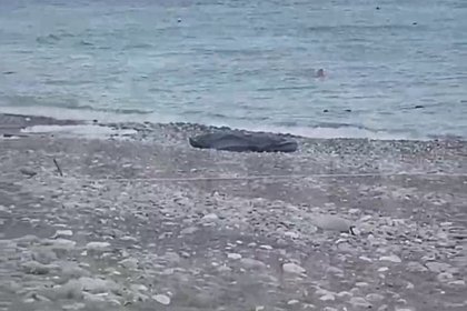 Катавшиеся на надувном банане в море россияне нашли в воде бездыханного человека Катавшиеся на надувном банане в море россияне нашли в воде бездыханного человека