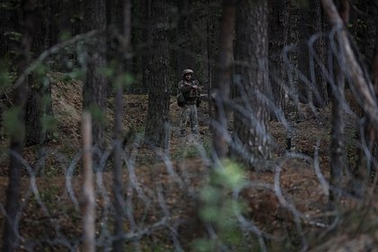 Военный эксперт допустил нападение Украины на Белоруссию Военный эксперт допустил нападение Украины на Белоруссию