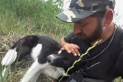 Россиянин спас собаку в шторм и решил пройти с ней тысячу километров пешком до Москвы Россиянин спас собаку в шторм и решил пройти с ней тысячу километров пешком до Москвы