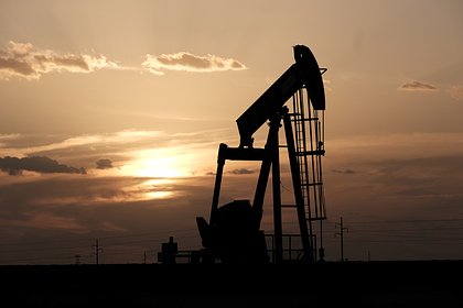 Новак рассказал о планах долгосрочного соглашения о поставках нефти в Индию Новак рассказал о планах долгосрочного соглашения о поставках нефти в Индию