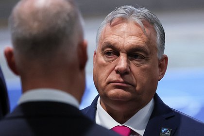 Орбан показал кадры встречи с Трампом в его поместье Мар-а-Лаго Орбан показал кадры встречи с Трампом в его поместье Мар-а-Лаго