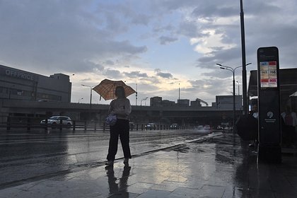 Москвичам пообещали грозу Москвичам пообещали грозу