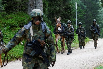В Литве заявили о готовности принять немецкую бригаду в 2026 году В Литве заявили о готовности принять немецкую бригаду в 2026 году