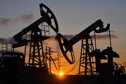 Европейская страна признала отсутствие альтернативы поставкам российской нефти Европейская страна признала отсутствие альтернативы поставкам российской нефти