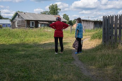 Дачников призвали отказаться от выращивания двух видов растений Дачников призвали отказаться от выращивания двух видов растений