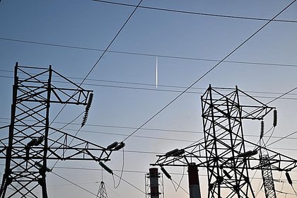 Рухнул один из видов российского экспорта в Китай Рухнул один из видов российского экспорта в Китай