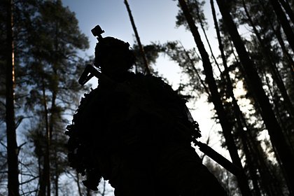 Трем участникам СВО предложили льготы и обманули на миллион рублей Трем участникам СВО предложили льготы и обманули на миллион рублей
