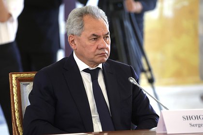 Шойгу прилетел в Сирию и встретился с Асадом