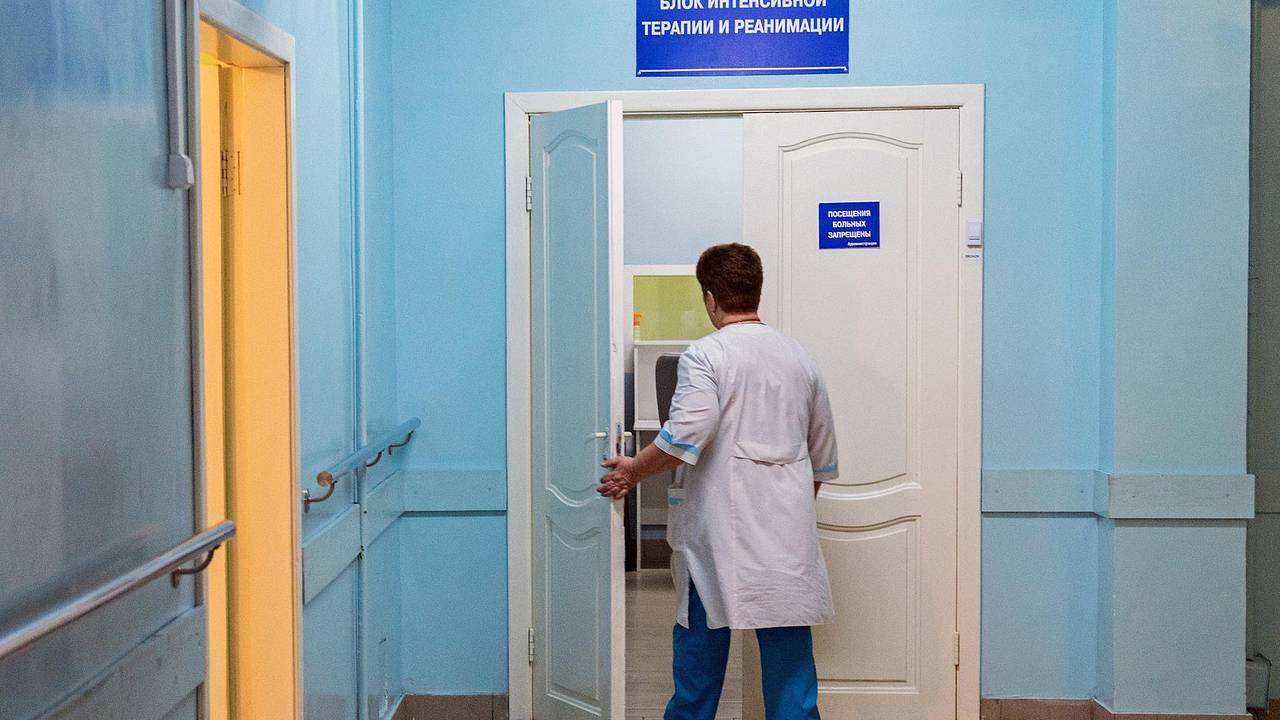 Российскую школьницу ввели в кому после нападения стаи собак Российскую школьницу ввели в кому после нападения стаи собак