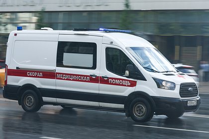 Появились подробности о напавшей на трехлетнего ребенка в российском цирке пантере Появились подробности о напавшей на трехлетнего ребенка в российском цирке пантере