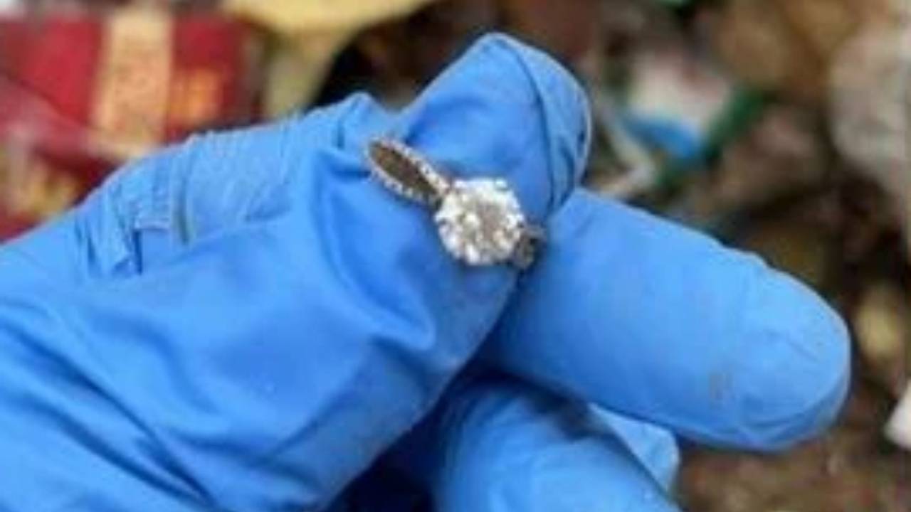 Женщина 30 часов рылась в мусоре на свалке ради потерянного кольца с бриллиантом Женщина 30 часов рылась в мусоре на свалке ради потерянного кольца с бриллиантом