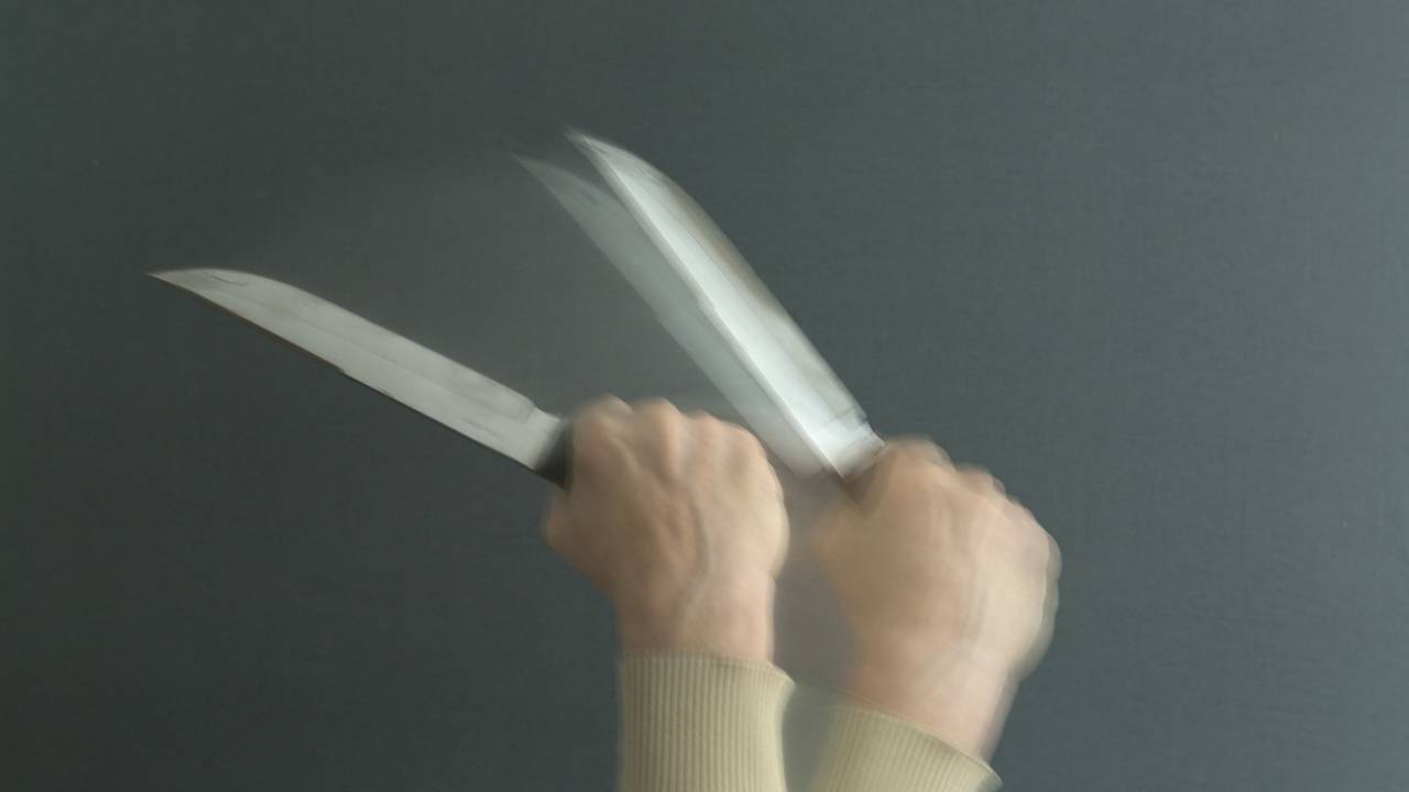 Пассажир поезда с двумя ножами напал на отказавшихся покидать купе попутчиков Пассажир поезда с двумя ножами напал на отказавшихся покидать купе попутчиков
