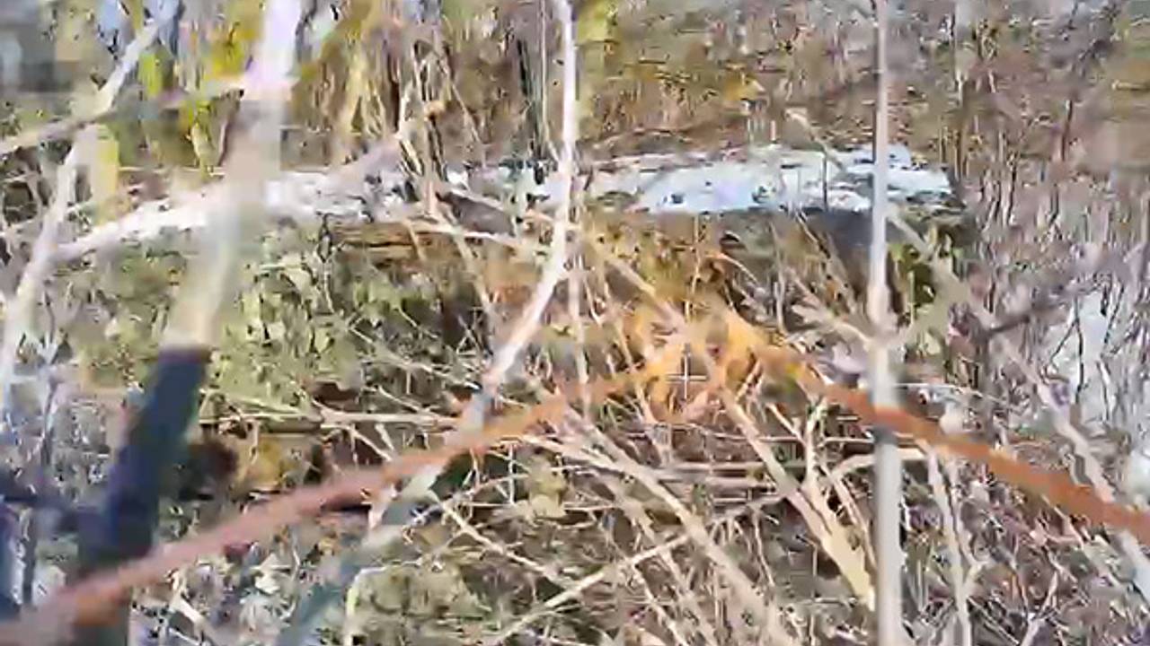 Уничтожение танка ВСУ спецназом Росгвардии попало на видео Уничтожение танка ВСУ спецназом Росгвардии попало на видео