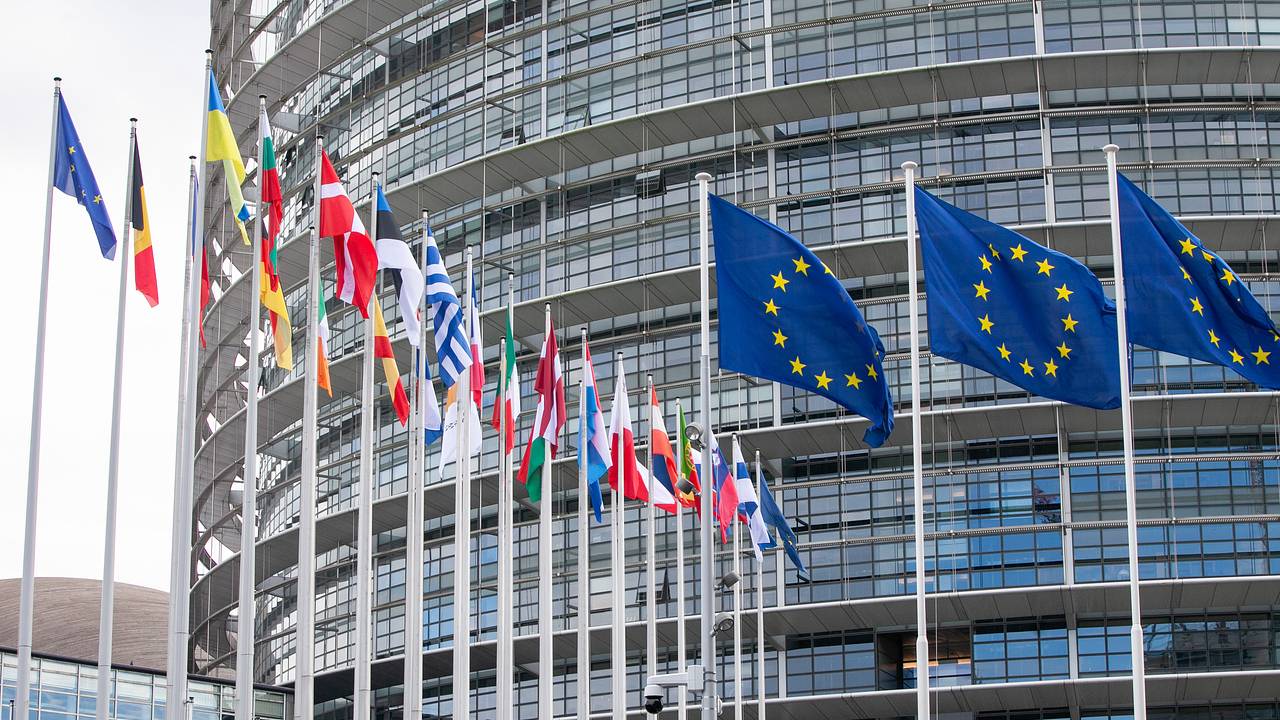 Евродепутат назвал абсурдом возможное размещение западных миротворцев на Украине Евродепутат назвал абсурдом возможное размещение западных миротворцев на Украине