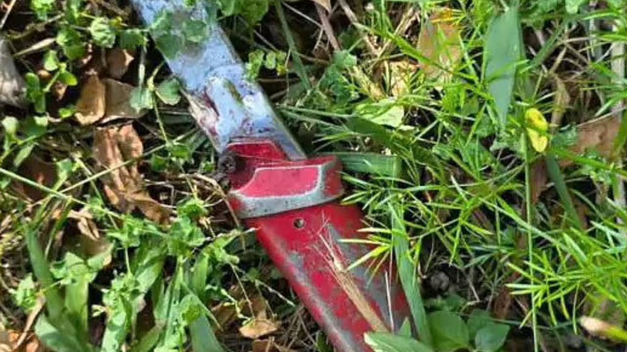 Женщина пожарила и съела пенис и сердце насильника Женщина пожарила и съела пенис и сердце насильника