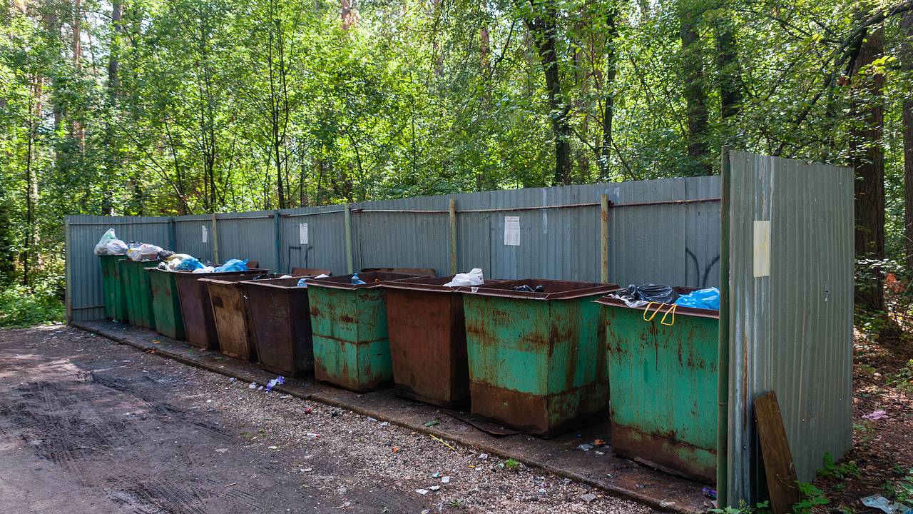 Россиянам назвали запрещенные к выбрасыванию на свалку виды мусора Россиянам назвали запрещенные к выбрасыванию на свалку виды мусора