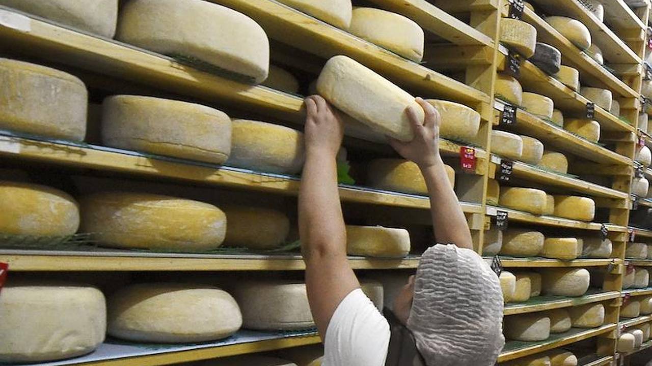 Сыр в российском регионе назвали именем Овечкина Сыр в российском регионе назвали именем Овечкина