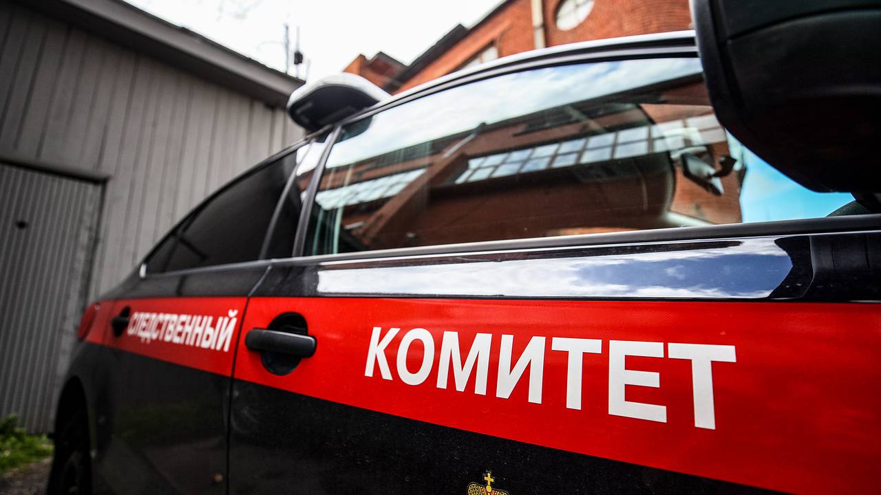 В СК рассказали о состоянии зарубившей топором своих троих детей россиянке В СК рассказали о состоянии зарубившей топором своих троих детей россиянке