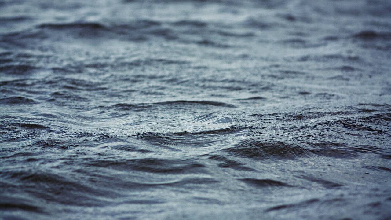 Одна из крупнейших бухт на планете окрасилась в кровавый цвет Одна из крупнейших бухт на планете окрасилась в кровавый цвет