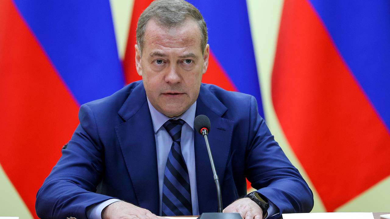 Медведев поставил диагноз пожаловавшемуся на него Гашеку Медведев поставил диагноз пожаловавшемуся на него Гашеку