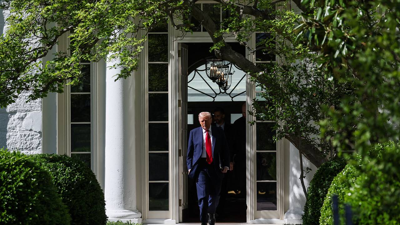 В Германии оценили мирную инициативу Трампа по Украине В Германии оценили мирную инициативу Трампа по Украине