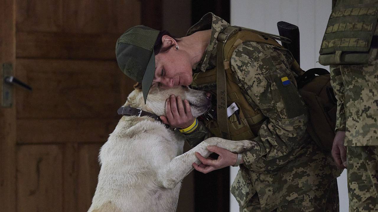 На Украине назвали причину вступления женщин в ряды ВСУ На Украине назвали причину вступления женщин в ряды ВСУ