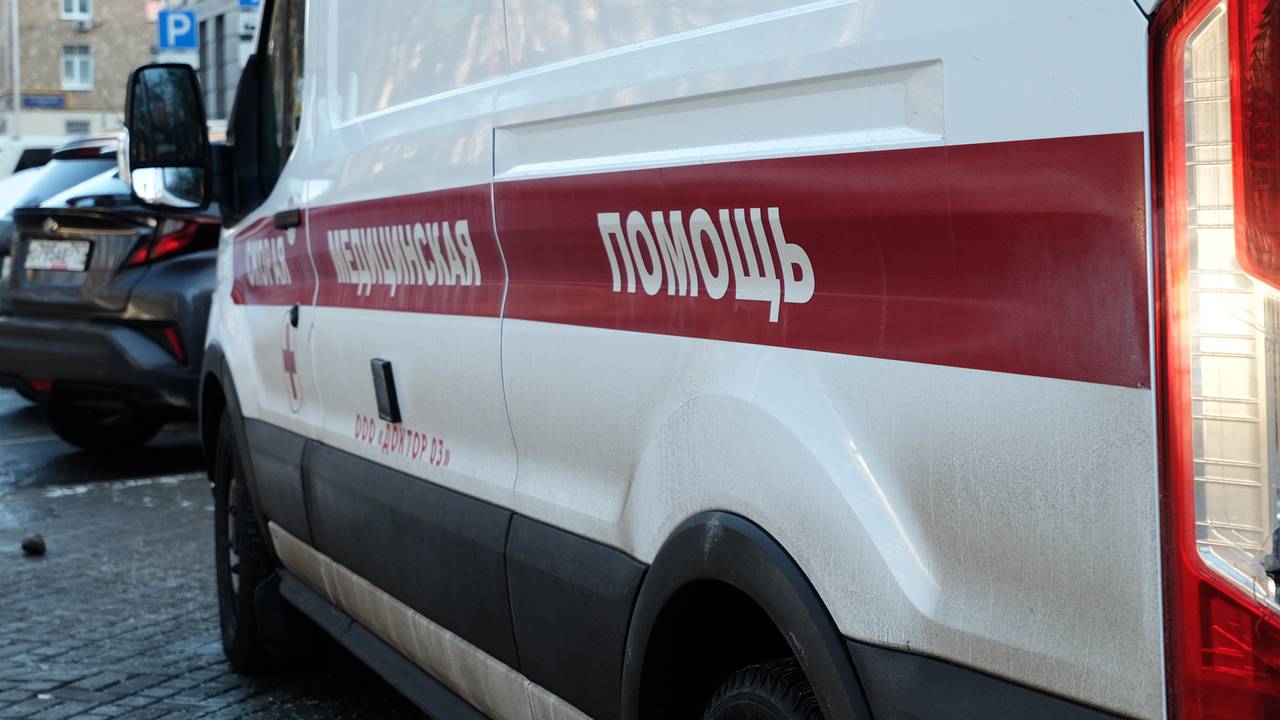 В российском регионе трехлетнюю девочку чуть не лишила скальпа собака В российском регионе трехлетнюю девочку чуть не лишила скальпа собака
