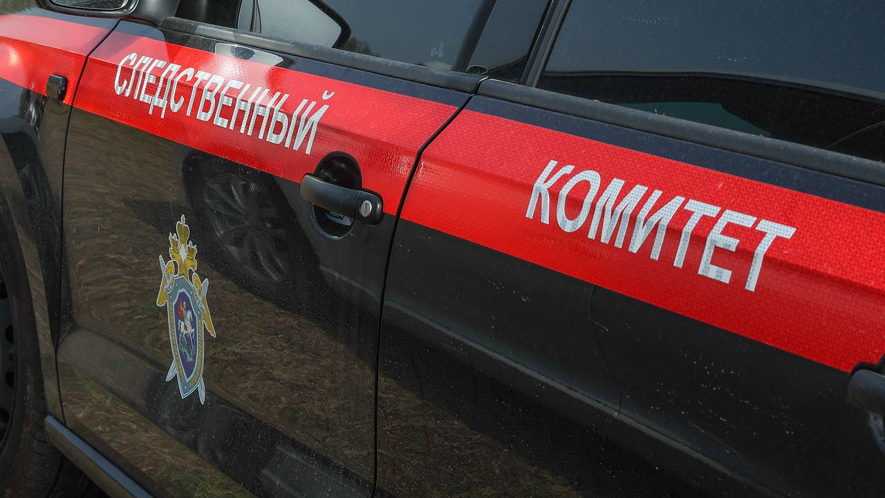 Россиянку осудили за избиение детей и похищение у одного из них двух миллионов рублей Россиянку осудили за избиение детей и похищение у одного из них двух миллионов рублей