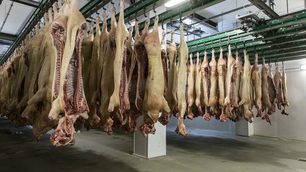 Россия резко нарастила поставки одного вида продукции в Китай Россия резко нарастила поставки одного вида продукции в Китай