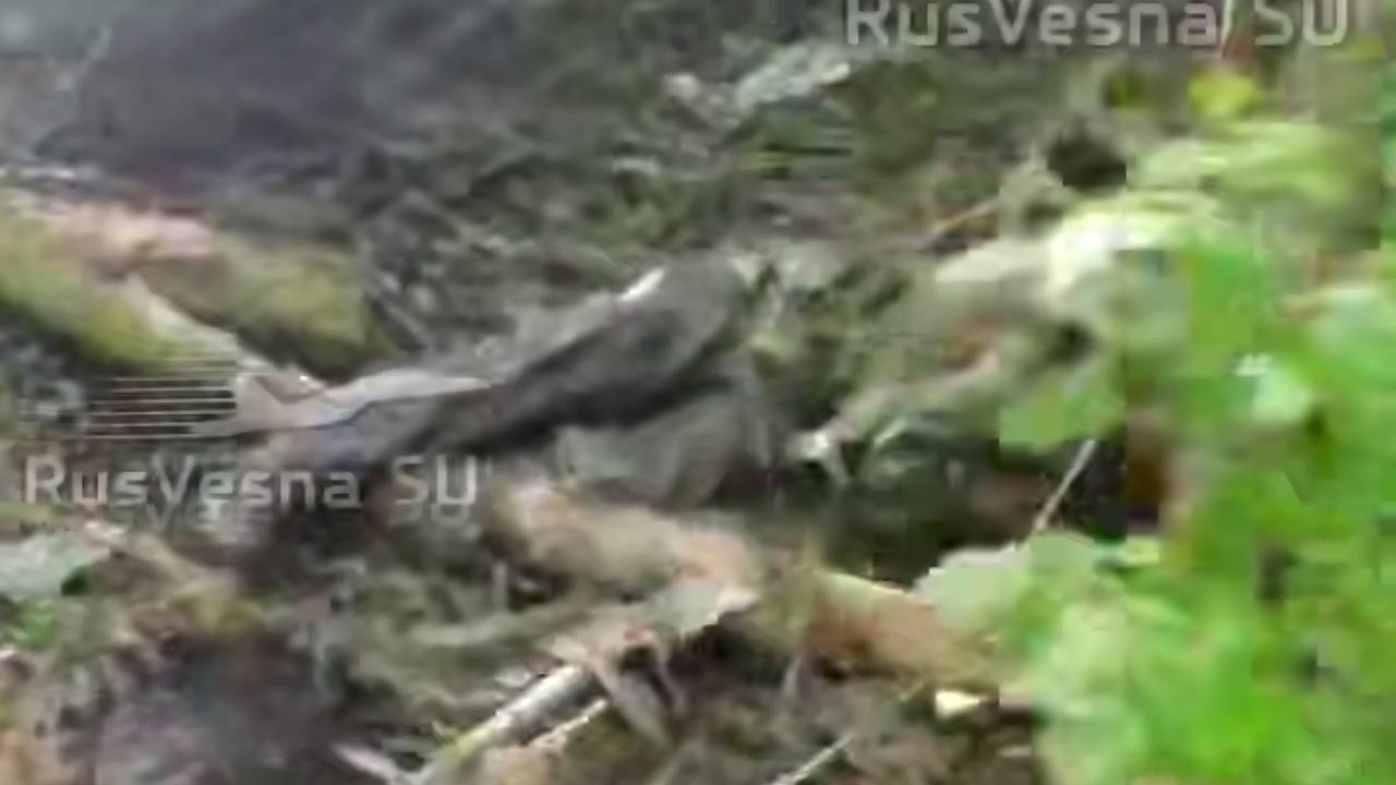 В России показали на видео последствия «бойни у Теткино» В России показали на видео последствия «бойни у Теткино»