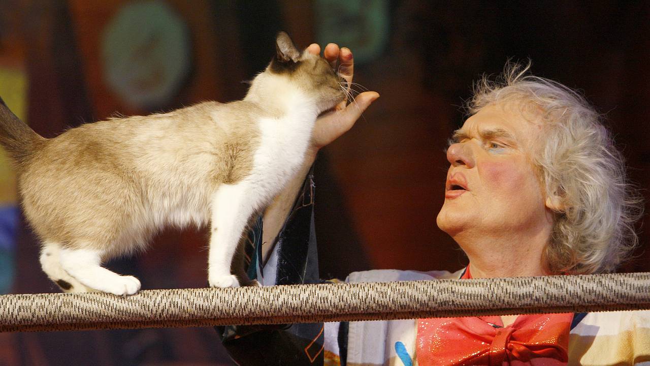 Куклачев рассказал о любви кошек к песням SHAMAN Куклачев рассказал о любви кошек к песням SHAMAN