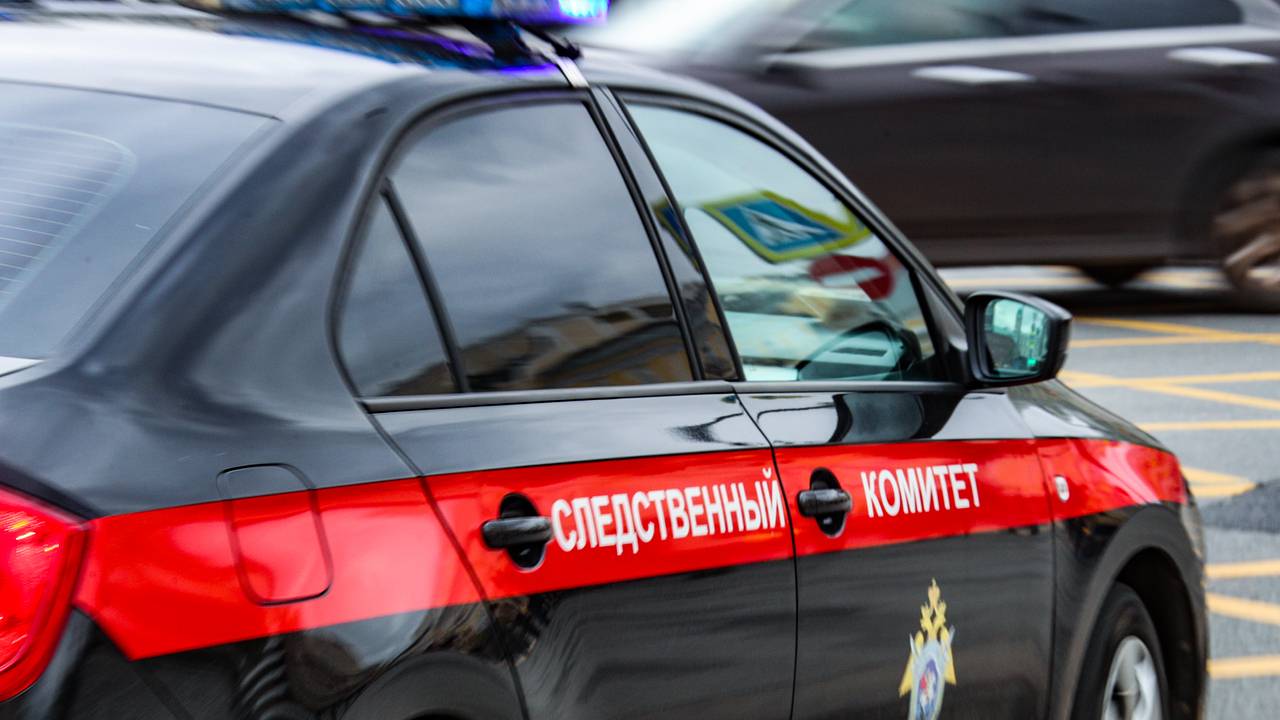 Жертвой неудачного похищения мигранта в Петербурге оказалась школьница Жертвой неудачного похищения мигранта в Петербурге оказалась школьница