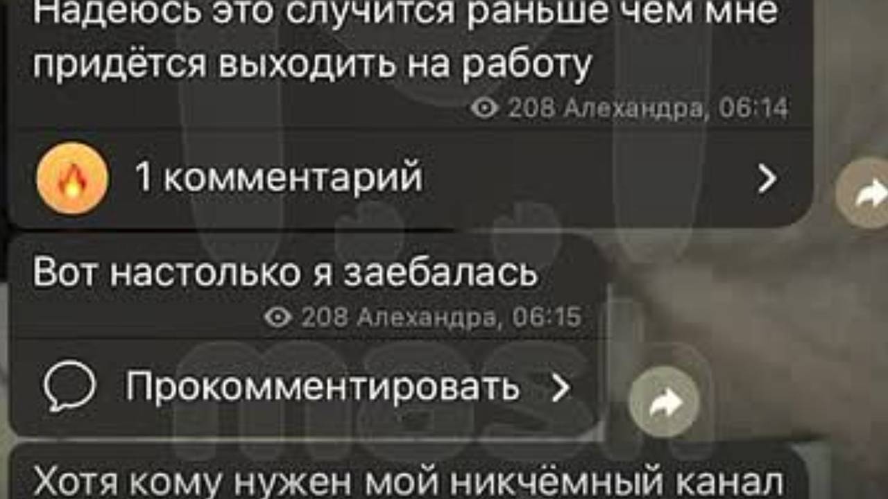 Сжегшая паспорт россиянка объяснила на видео свой поступок Сжегшая паспорт россиянка объяснила на видео свой поступок