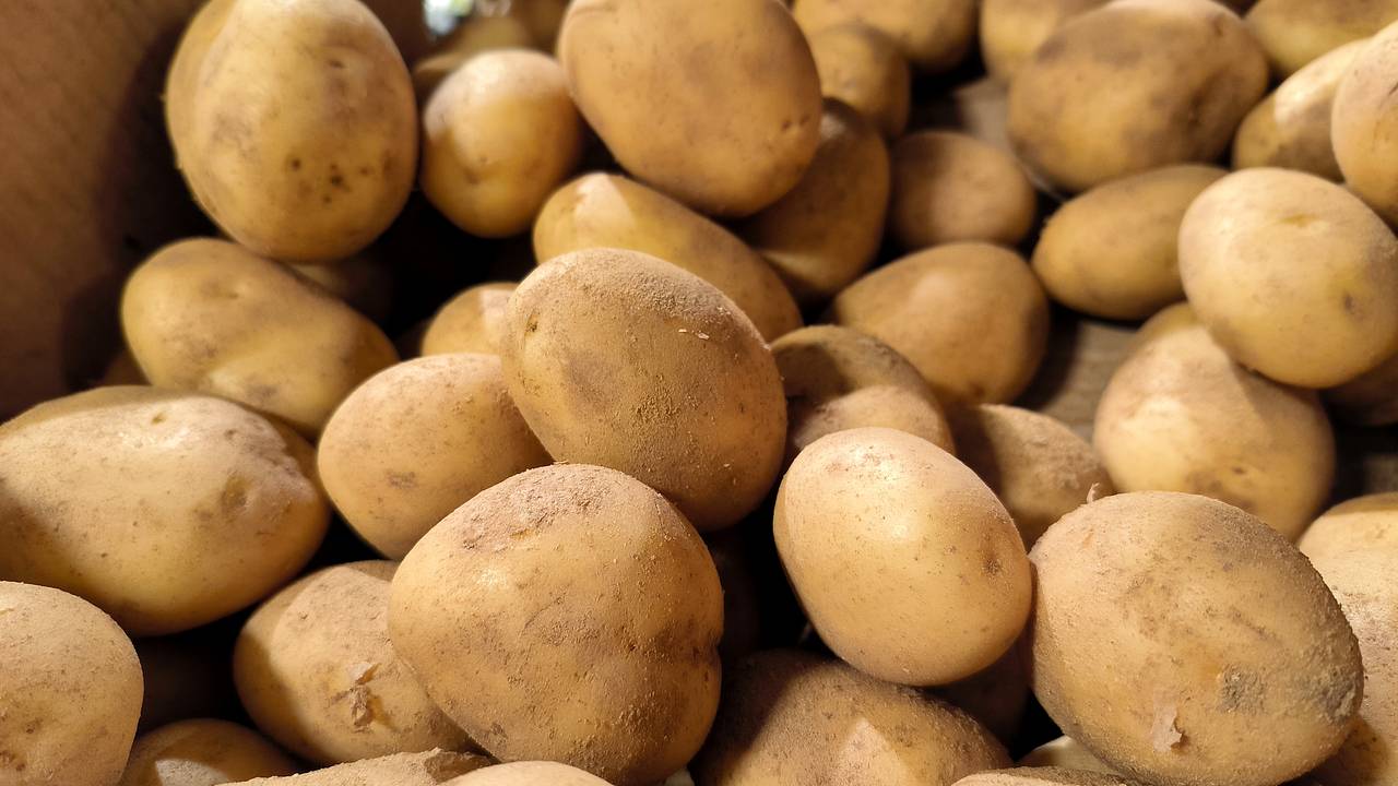 Цены на картофель начали снижаться Цены на картофель начали снижаться