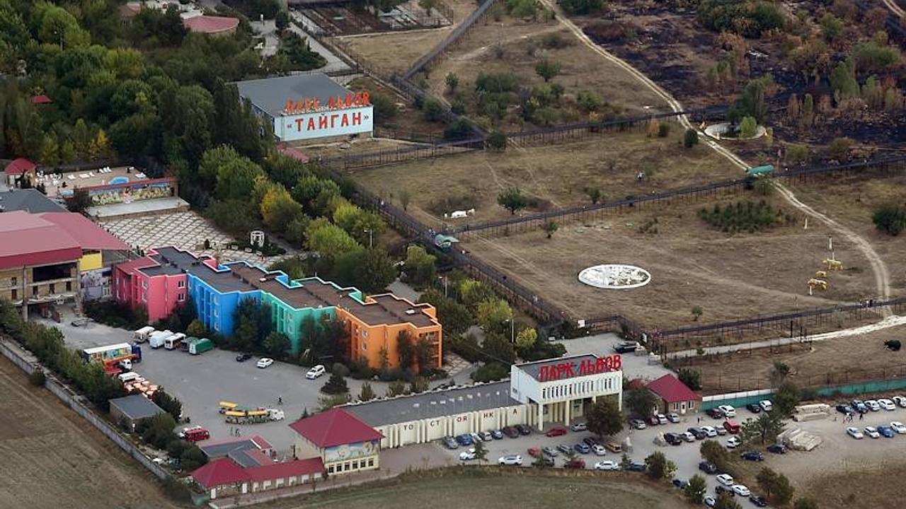 Стало известно о работе сафари-парка «Тайган» после нападения львов на директора Стало известно о работе сафари-парка «Тайган» после нападения львов на директора