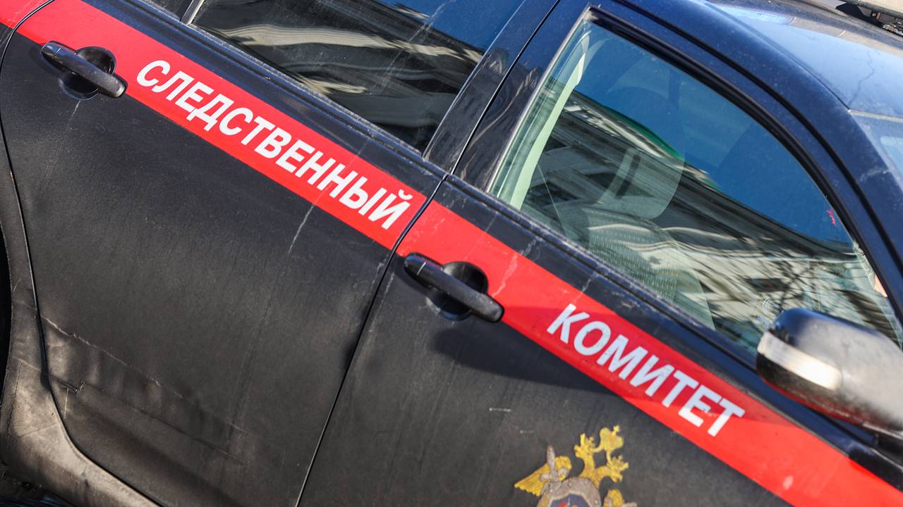 Бросившему ребенка головой об пол в Шереметьево мужчине предъявили обвинение Бросившему ребенка головой об пол в Шереметьево мужчине предъявили обвинение