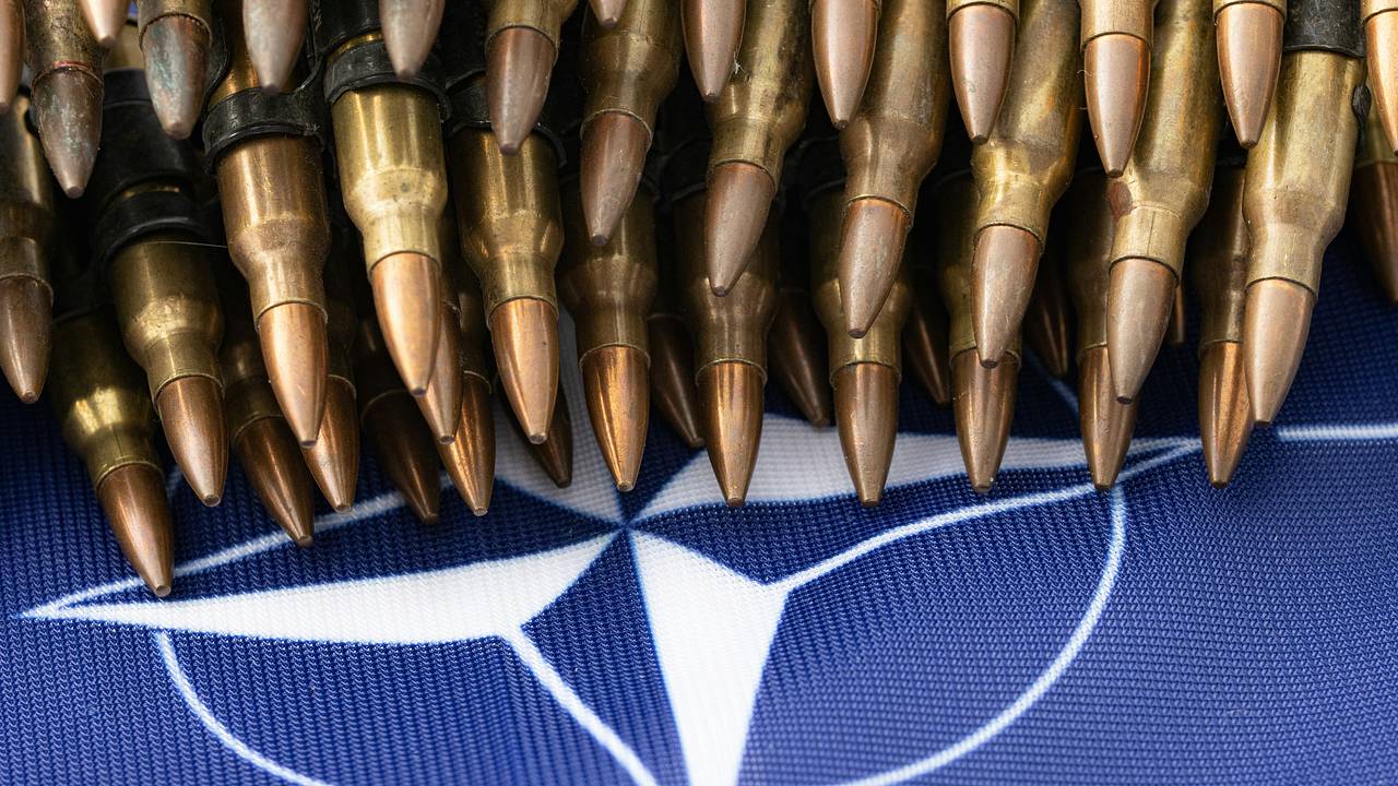 В стране НАТО выступили с призывом срочно выйти из альянса В стране НАТО выступили с призывом срочно выйти из альянса
