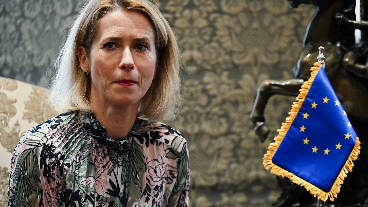 В Финляндии обозвали Каллас после слов об «Орешнике»