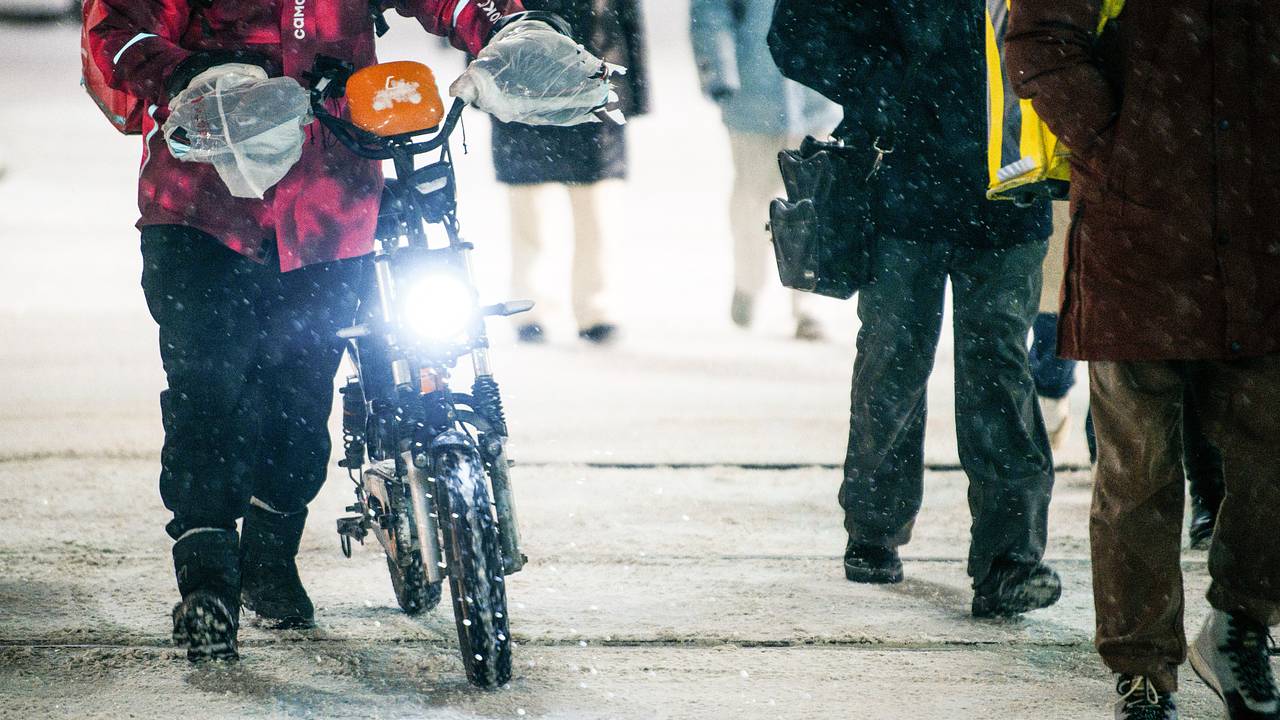 Раскрыта средняя зарплата курьеров в России