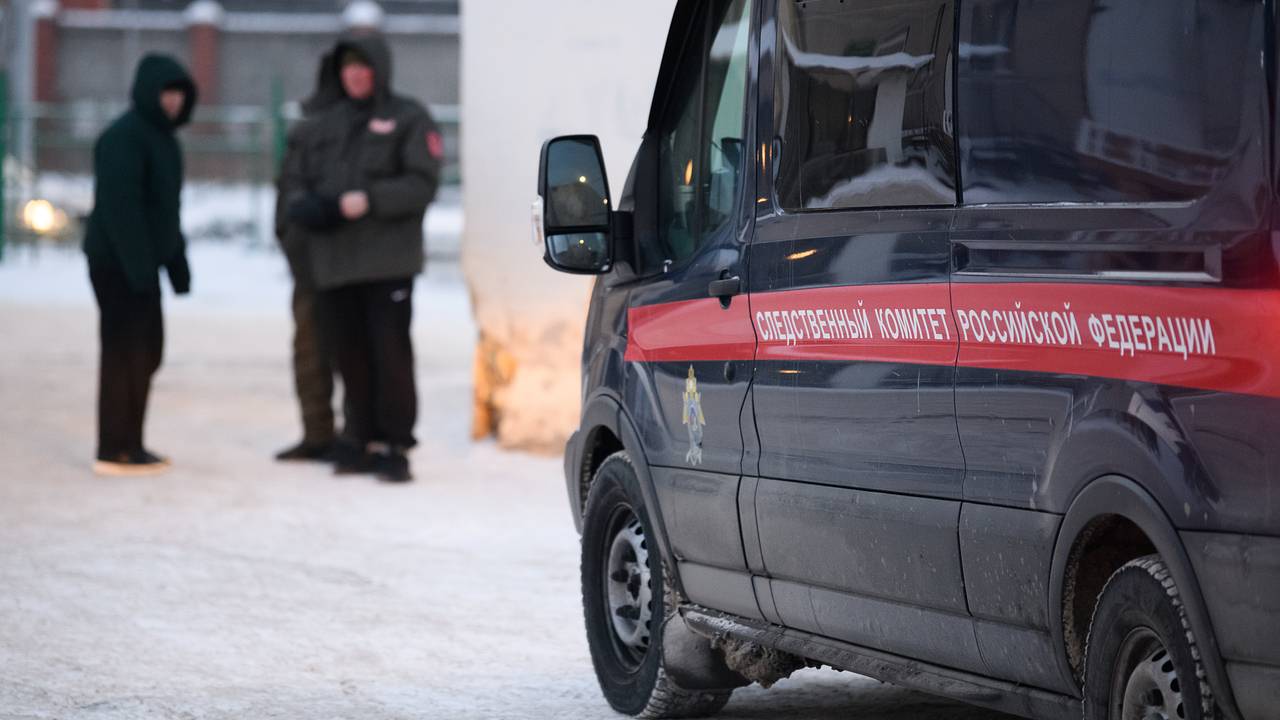 Подкармливавшая бездомных собак россиянка стала фигуранткой уголовного дела