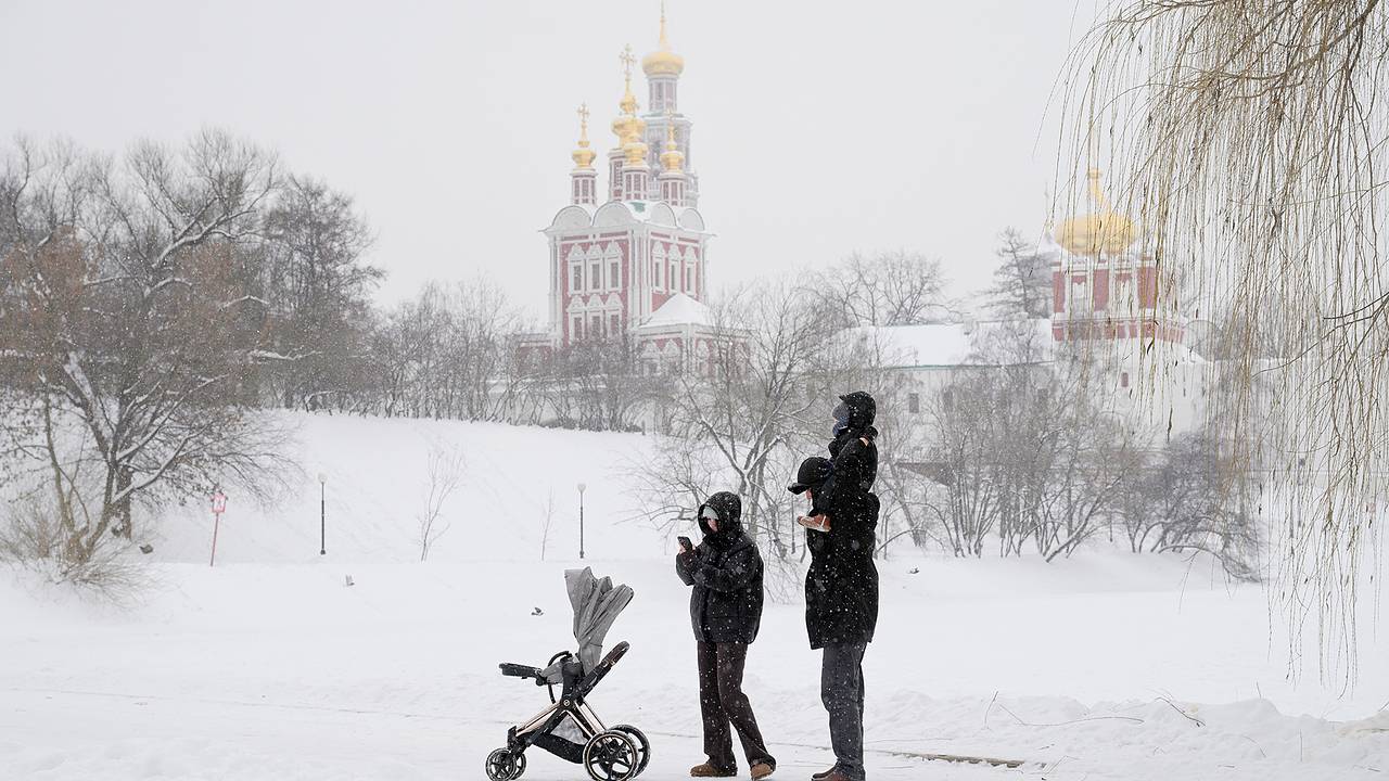 В Москве начал таять снег