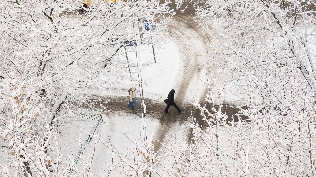 В московский регион пришли 20-градусные морозы