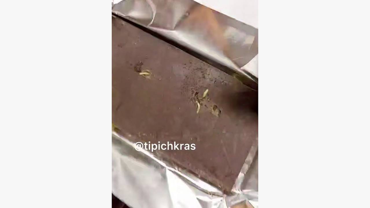 Россиянка показала на видео купленный в «Магните» шоколад с червями