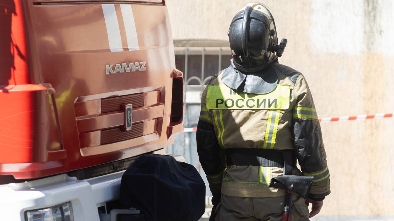 В российском городе на балкон жилого дома рухнуло дерево