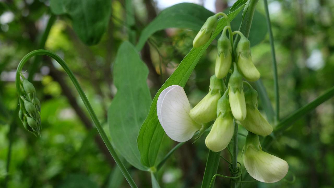 Названы самые недооцененные доступные продукты
