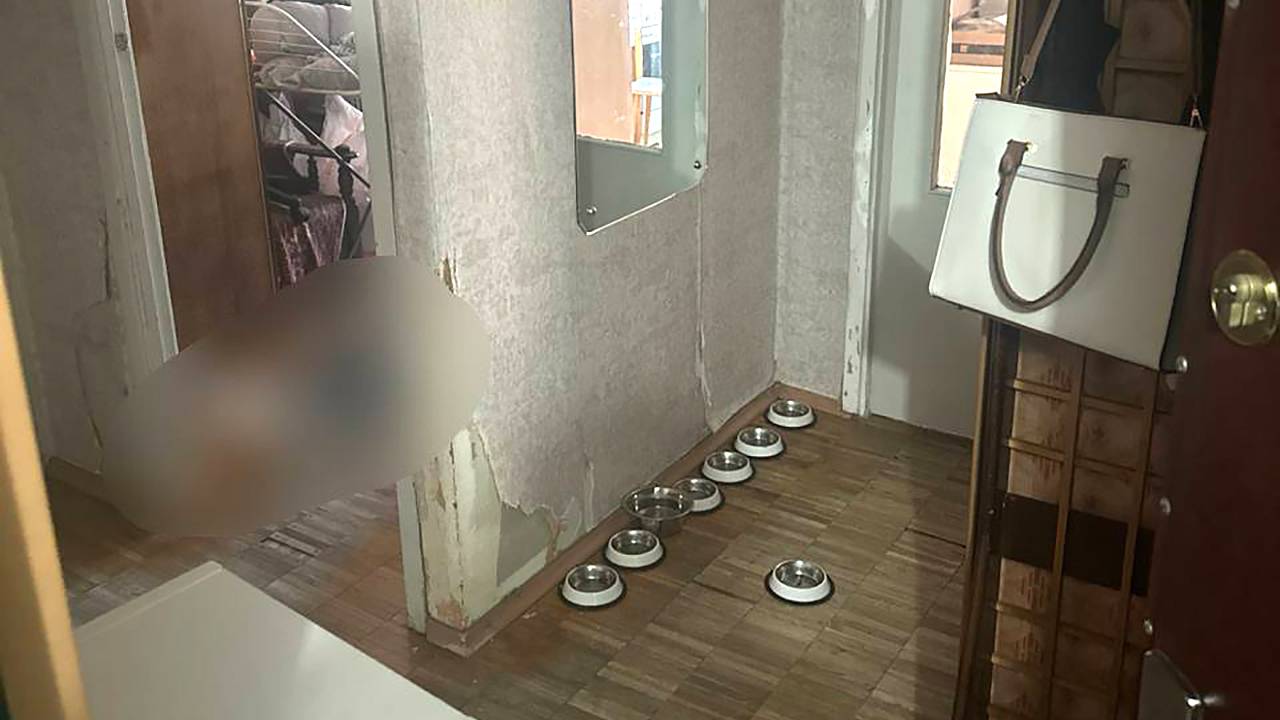 Раскрыты подробности расправы над 18-летней котоняней в Москве