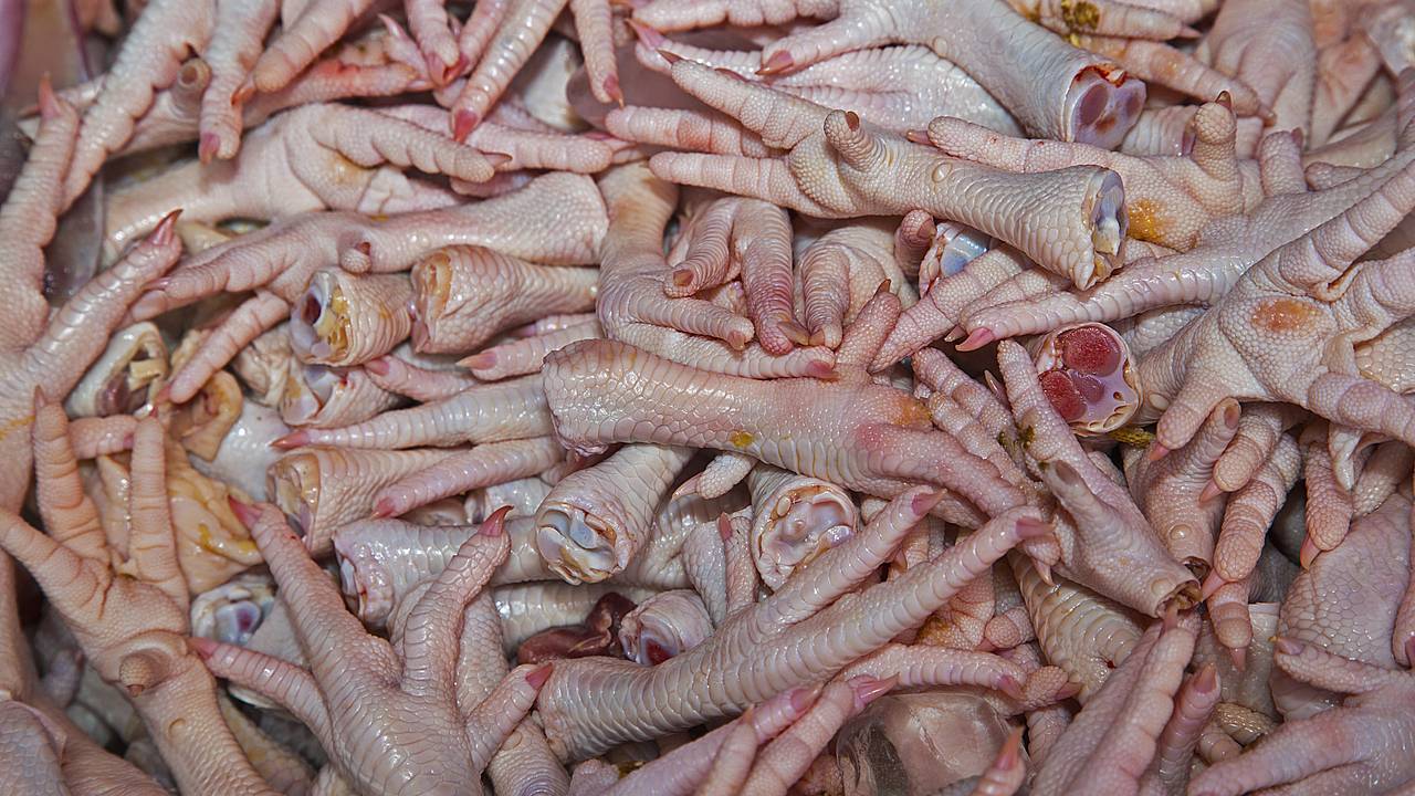 Россия завалила Китай куриными лапками Россия завалила Китай куриными лапками